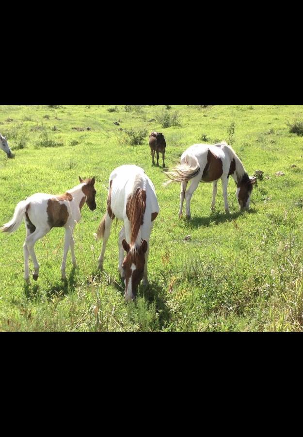 H&R Ranch Resort And Spa Estelí Екстериор снимка